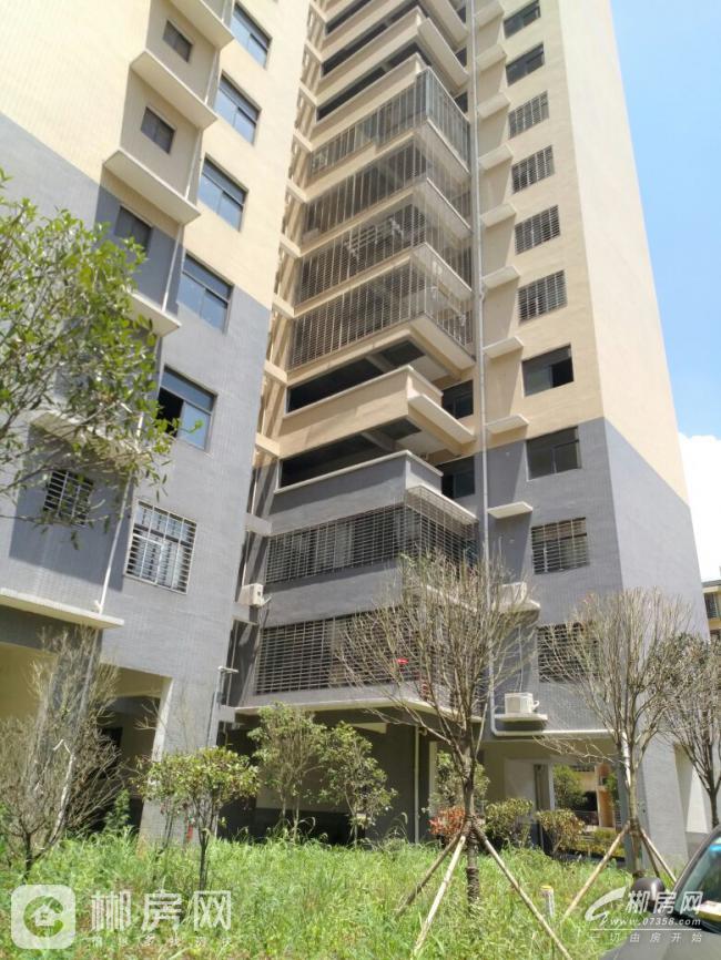 郴州御溪湖畔二期独栋景观房-郴州二手房