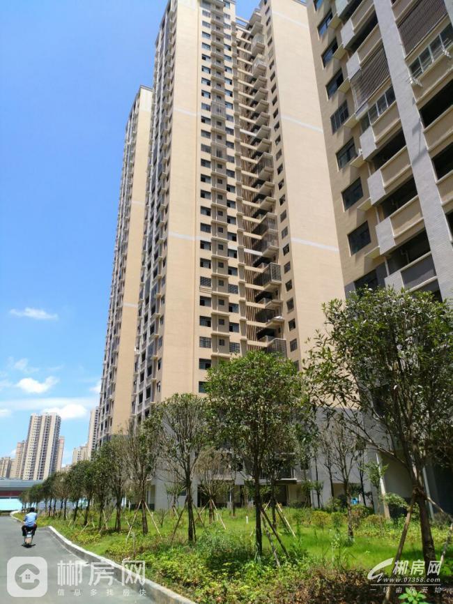 郴州御溪湖畔二期独栋景观房-郴州二手房