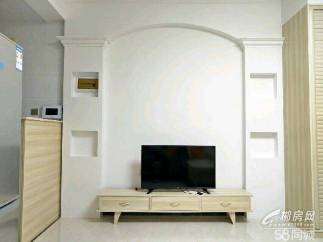 郴州锦绣东城精装公寓拎包入住-郴州租房