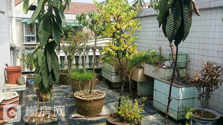 郴州本人急售高山背苏苑小区复式楼-郴州二手房