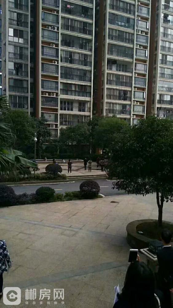 郴州五中旁新房出售z-郴州二手房