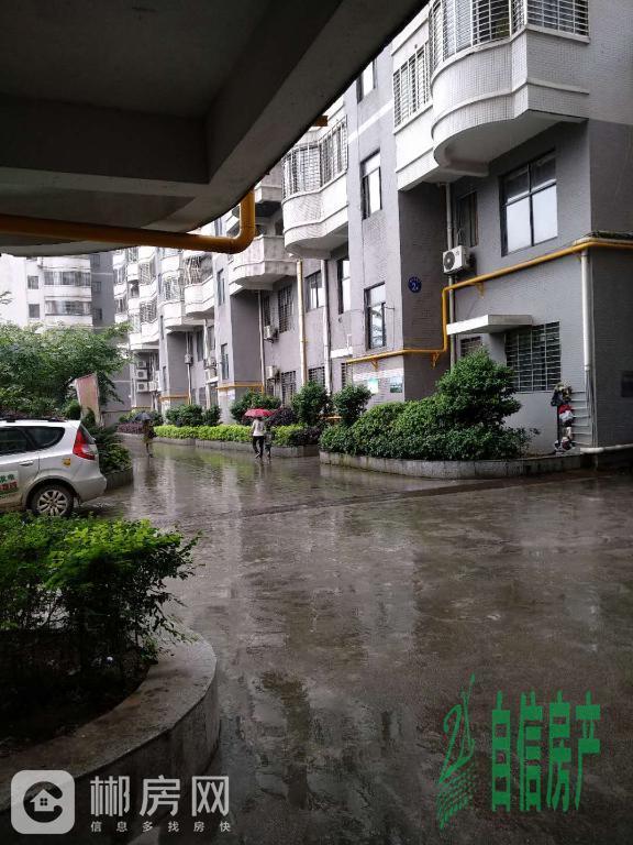 郴州望江苑毛坯三房急售-郴州二手房