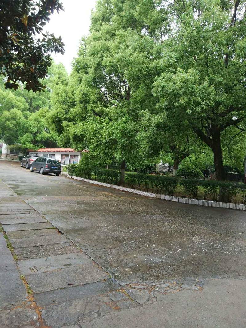 郴州龙腾广场复式楼4房出租2000\/月 适合办公