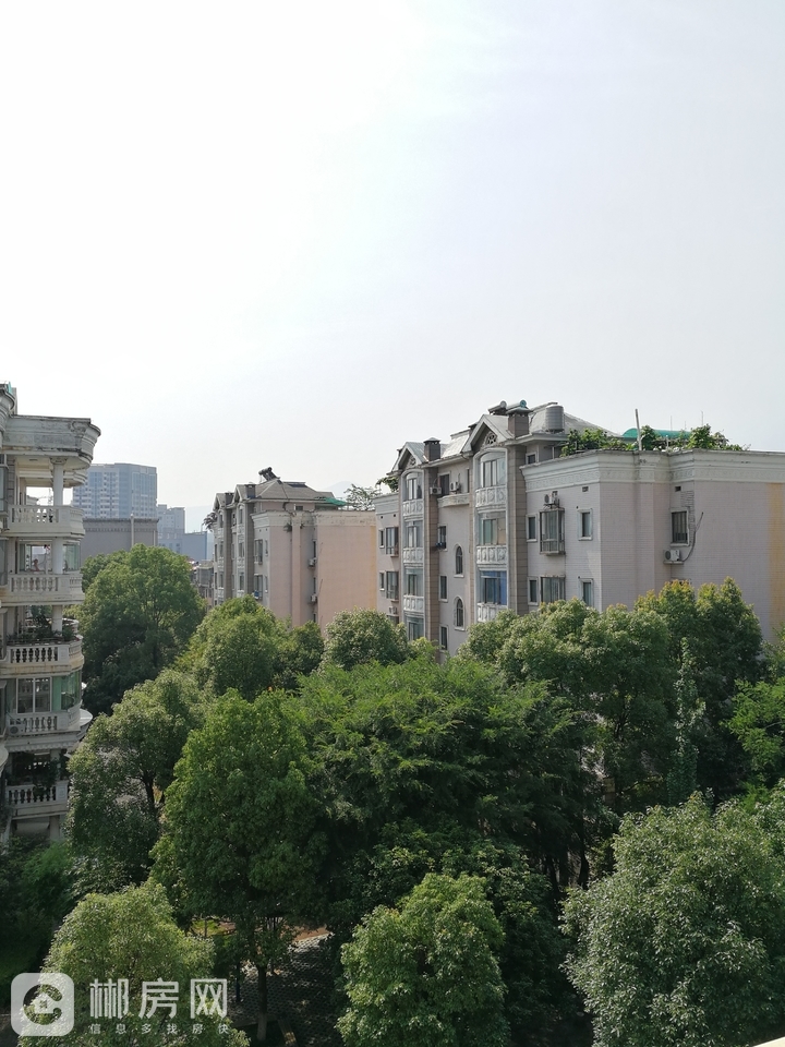 郴州九中学位房市建设局院内带装修带车库出售