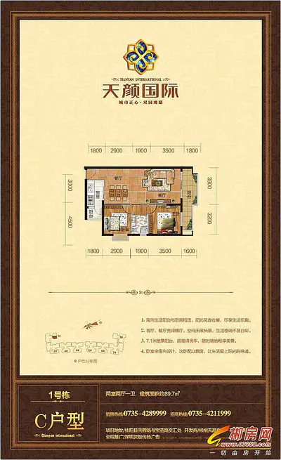 天颜国际1号栋C户型