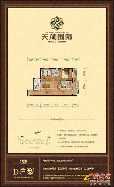 天颜国际1号栋D户型