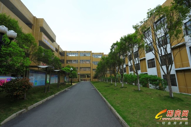 1571198362577348.jpg 42完小1.JPG