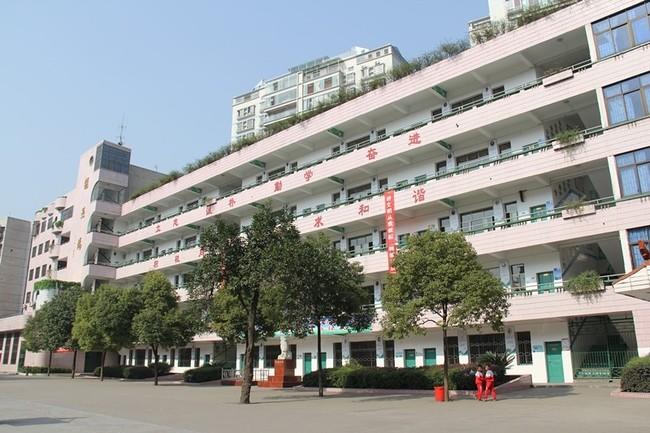 九小微信图片_20200709161815.jpg