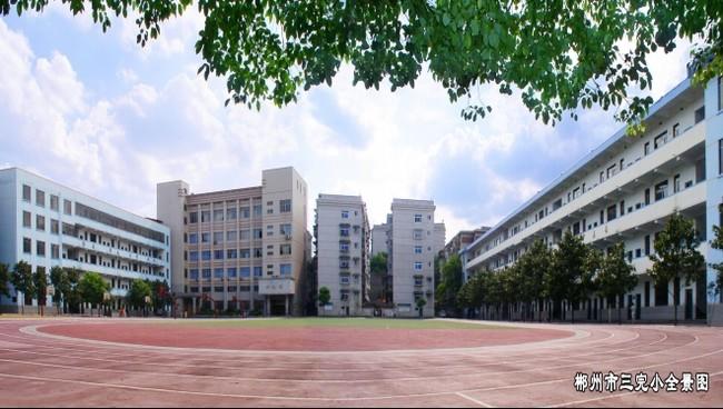 三小微信图片_20200709162036.jpg