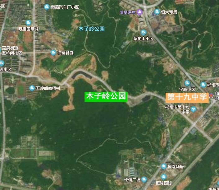 梨树山.png