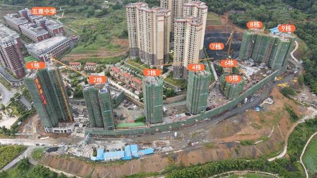 1596530756436800.jpg DJI_0001.JPG