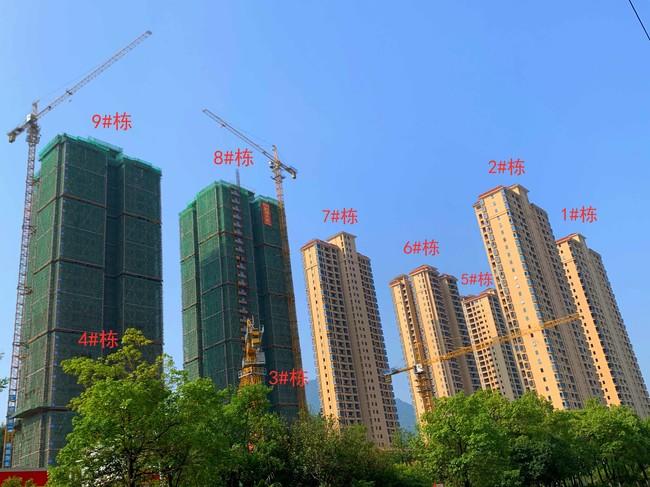 图片7.jpg