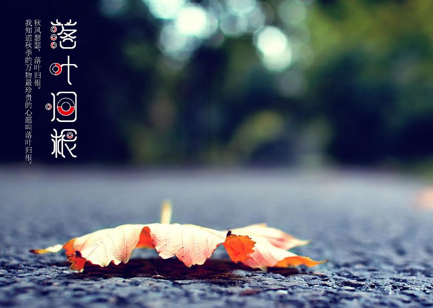 1600250395207218.png image.png