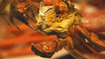 640 (4).gif