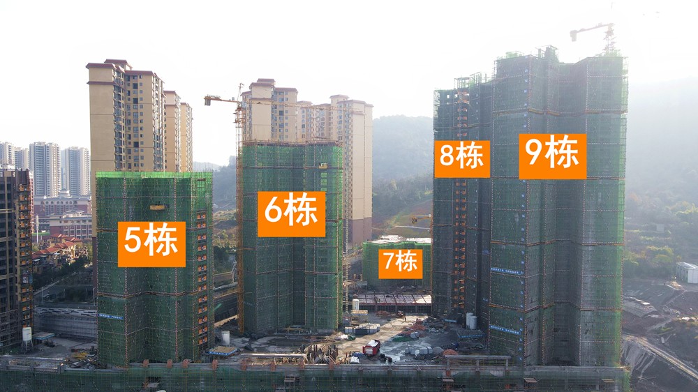 1610265557630852.jpg 微信图片_20210109201752_副本.jpg