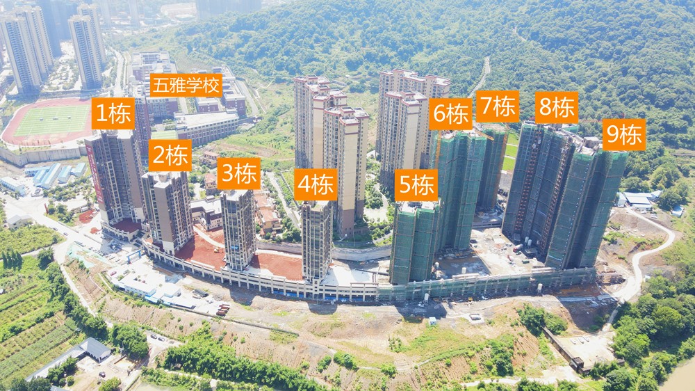 1623464563828674.jpg DJI_0942.JPG