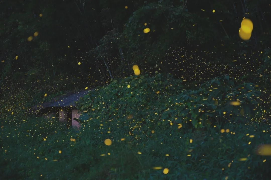 1625045428673075.png image.png