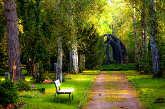 1625190517362822.png image.png