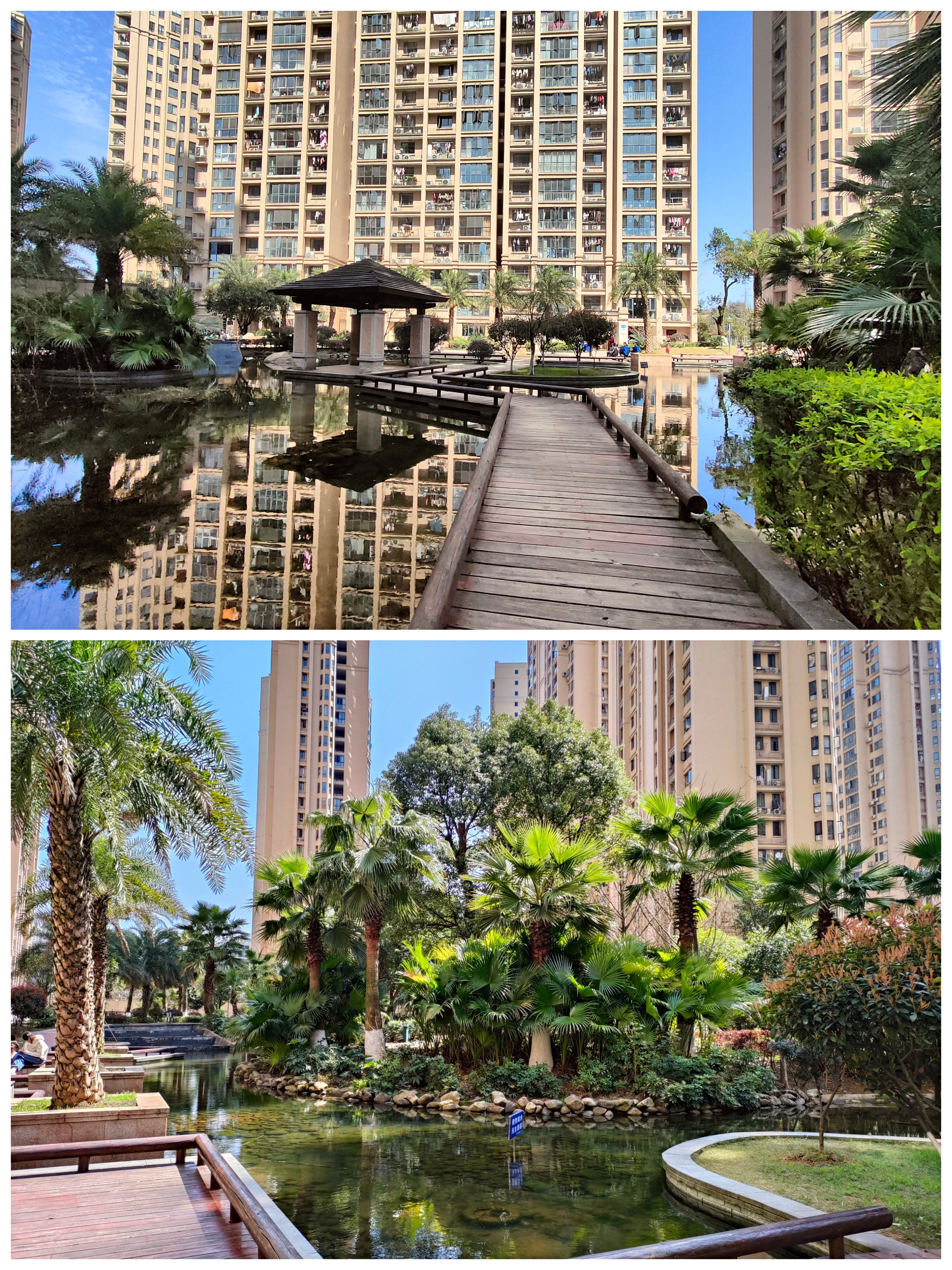 1652258415798572.jpg 园林6.jpg