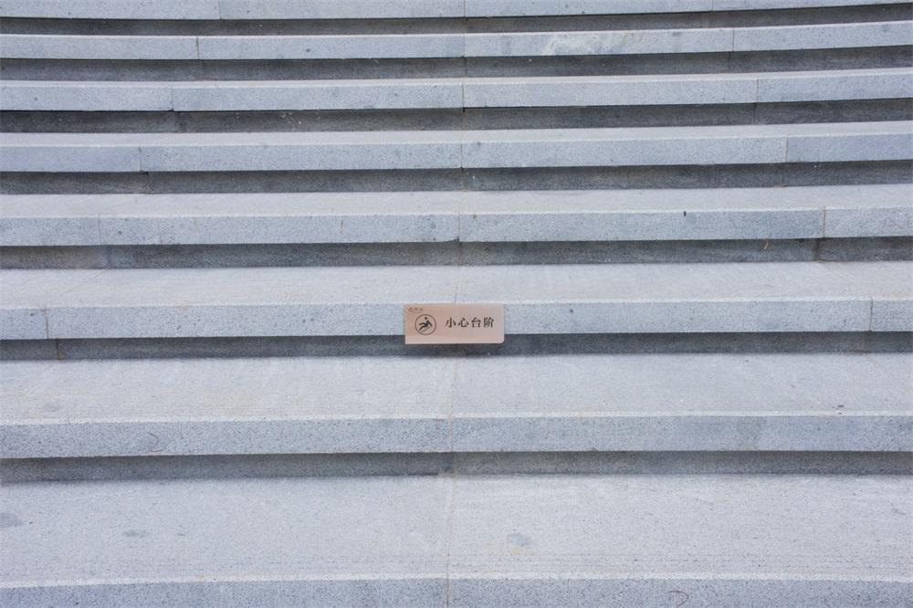 1655191990246429.jpg