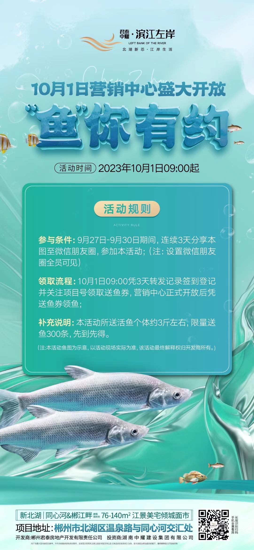 f34174080cd2541f5c2e753b30fee44.jpg