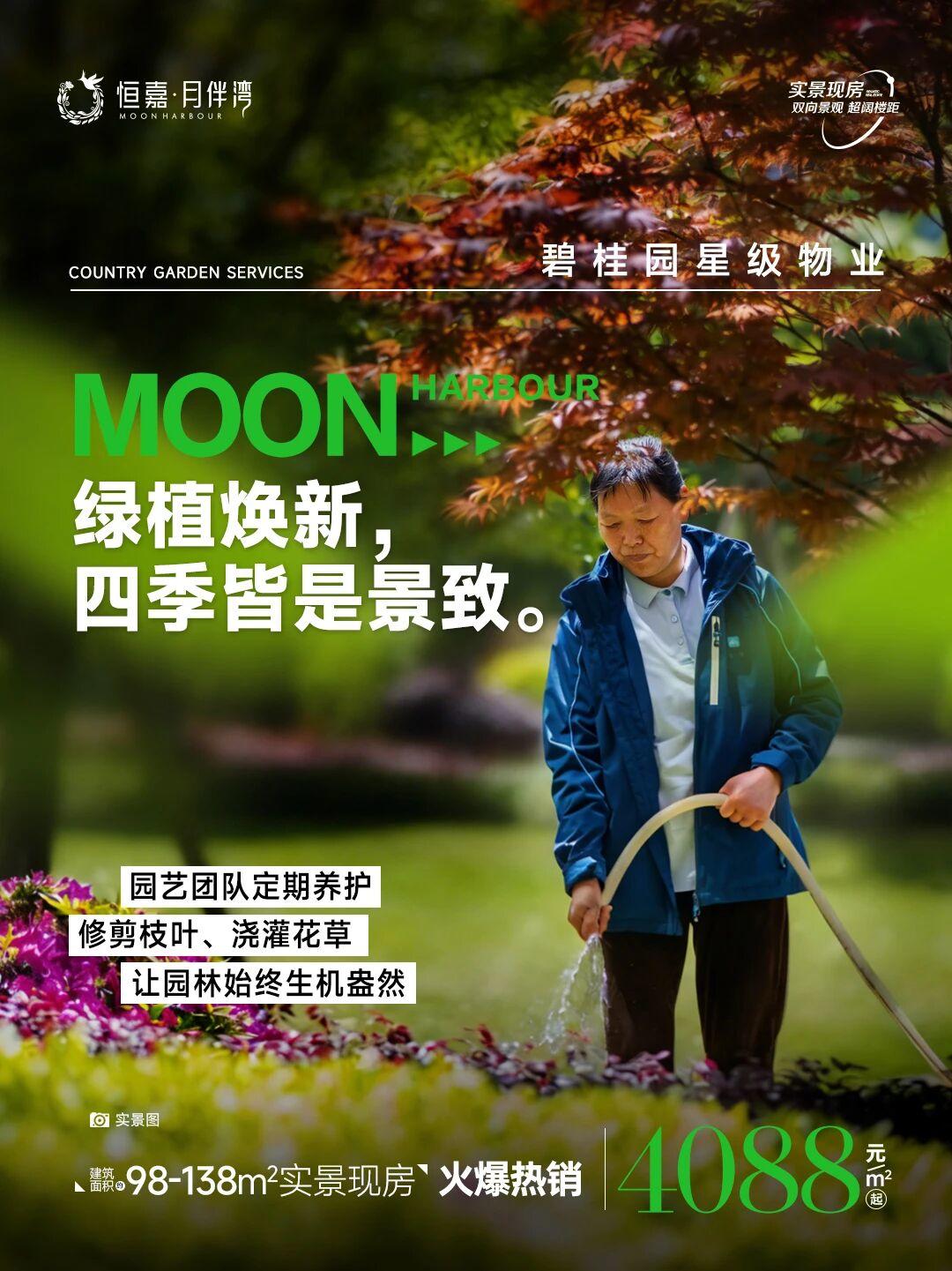 1764143207148839.jpg d09bd578736217640ec7494b36dcd37e.jpg