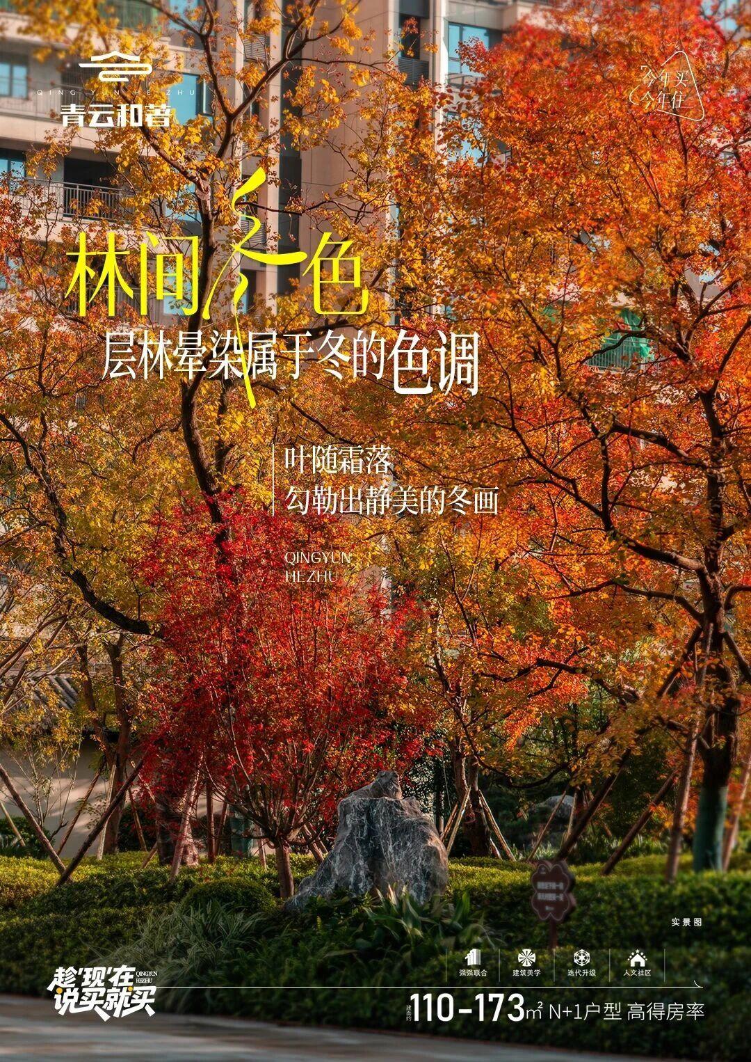 1765153390884460.jpg ecd2fec76ddde926eecc68eaefcaaf70.jpg