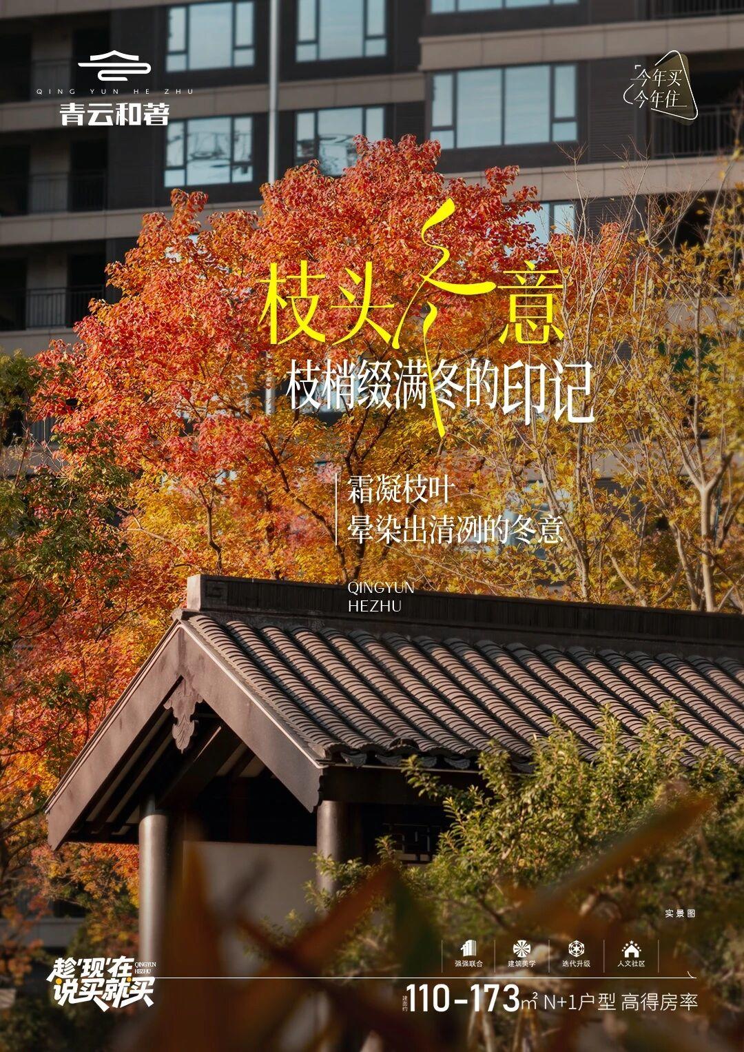 1765153399912474.jpg ab902a9f4862d9caf3862b72de0afd86.jpg