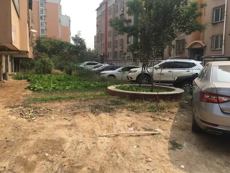 春光园 朝阳小区 花园小区 峰峰这些地方被曝光......