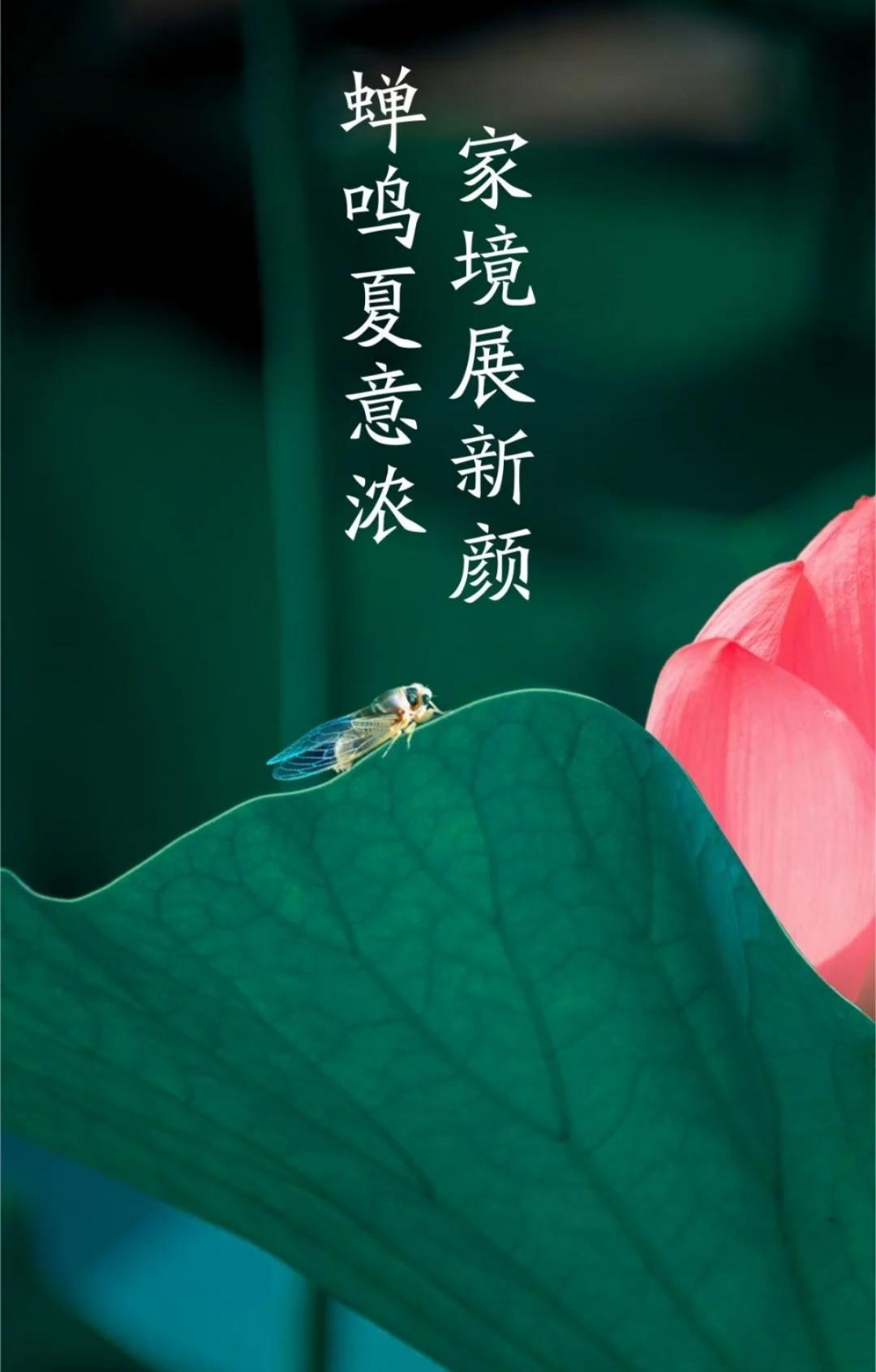 aaa2f89e6035ce2e004cb66f6a6354d.jpg