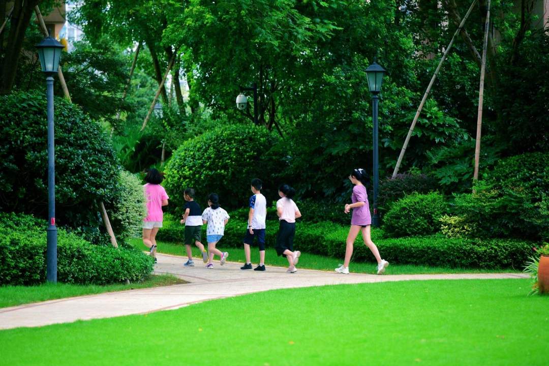 晨跑.jpeg