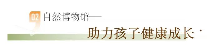 cf8a4bddc7d2036f19db7161838e327.png