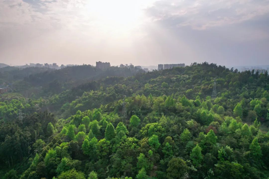 DJI_0059.jpg