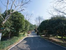 20160302南岭植物园