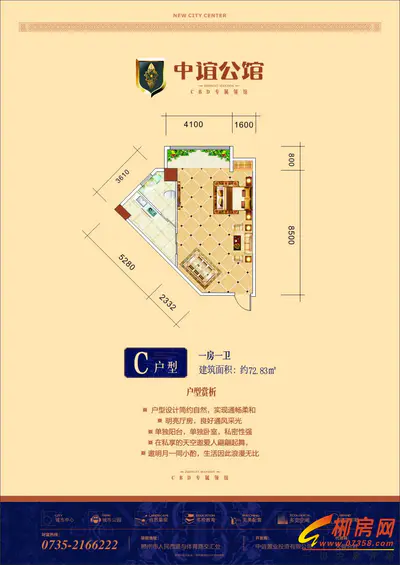 中谊公馆C户型